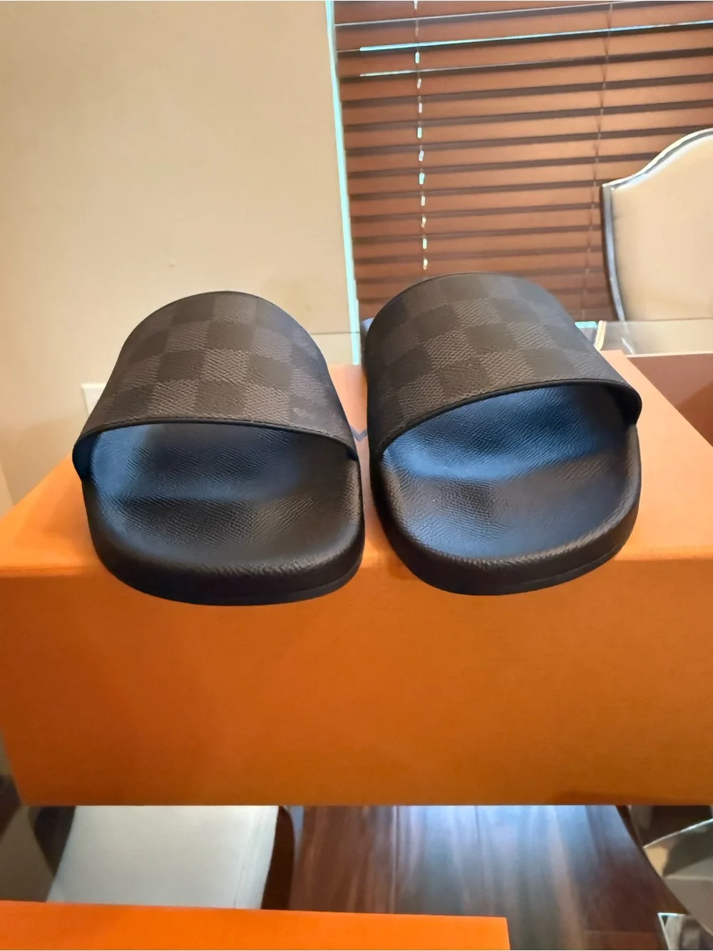 Louis Vuitton Waterfront Mule Damier Graphite Men’s LV Size 8 / US 9
